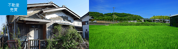 不動産売買